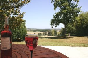 Wine on the front terrace with far reaching views