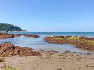 Combe Martin beach at very low tide