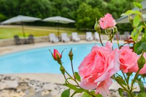 Garden features at Beau Foret, Font Neuve near Souillac, Dordogne Valley, France