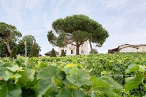 Chateau de Bel Air luxury holiday accommodation near Pomerol near Saint-Émilion and Bordeaux, Southwest France