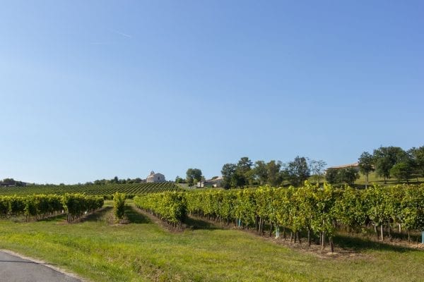 The vineyard flanked country lane from La Maison Pouyteaux towards Margueron