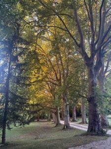 The driveway, taken by Rupert, a guest