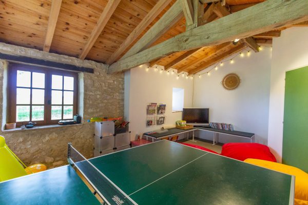The pool room with table tennis and games