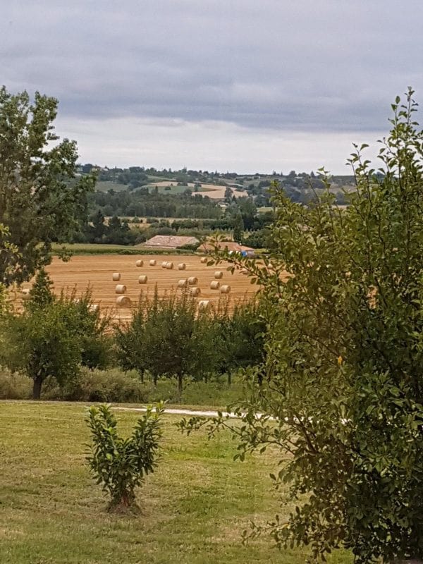 Rural views