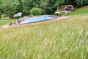 Wild flower meadow at Beau Foret, Font Neuve near Souillac, Dordogne Valley, France